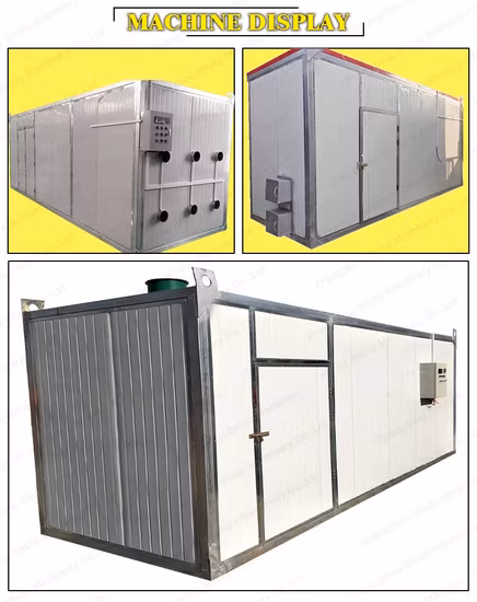 Box Dry Machine Can Be Customized Chamber Size for Drying Beef and Lungs Drying Machine