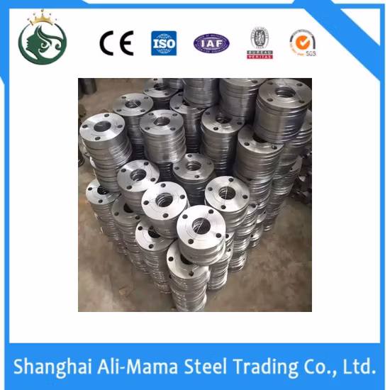 The Best Selling AISI B16.5 Titanium Flange