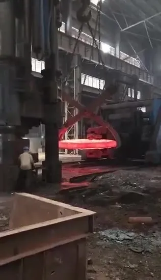 Stainless Steel Titanium Flange Socket Weld Flange Slip on Weld Neck Plate Blind Flange