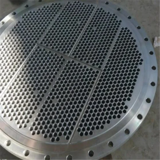 Forged Tubesheet for Heat Exchanger Tube Sheet Forging Titanium and Stainless Steel Forgings
