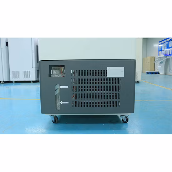 Biobase Laboratory Drug Incubator Medicine Stability Test Chamber