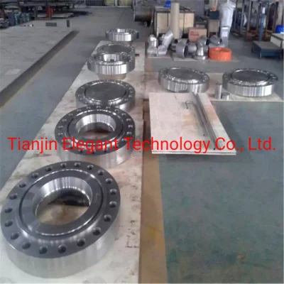 Realible Titanium Flange, Stainless Steel Pipe Fitting